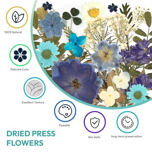 Resiners 100Pcs Dried Pressed Flowers for Resin Molds, Blue Real Natural Dried Flowers Dry Leaves kit for Scrapbook Supplies Card Making Resin Resiners