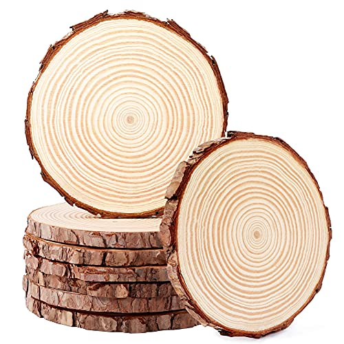 Pllieay 8Pcs 6-6.3 Inch Wood Slices, Unfinished Natural Craft