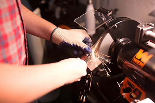 WEN BG4280 5-Amp 8-Inch Variable Speed Bench Grinder with Flexible Work Light, Black,orange WEN