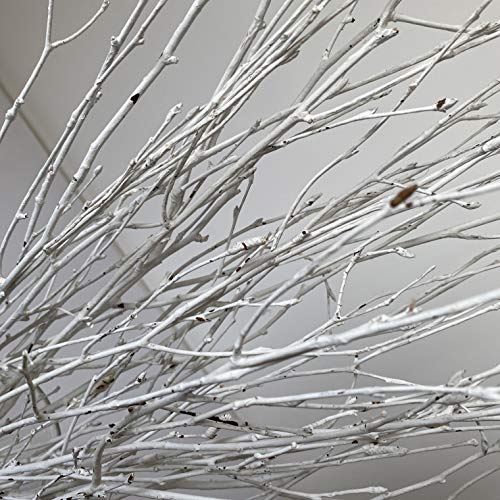 Decorative Birch Branches Decoration, 23 Inch Birch Stems for Wedding Decor,Dried Twigs for Christmas Decor (White) DongArts