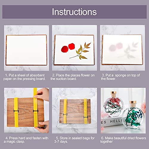 WANDIC Four Leaf Clover Flower Press Kit, Wooden Art Kit Plant Press Book Flower Fruit Press Kit for DIY Art Handicrafts Specimens Outdoor Learning WANDIC