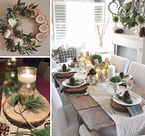 Lemonfilter Natural Wood Slices 12 Pcs 4.7-5.1 Inches Craft Wood Kit Wooden Circles Unfinished Log Wooden Rounds for Arts Crafts Wedding Christmas Lemonfilter