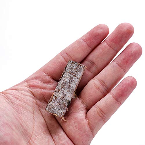 Byher Craft Sticks, Mini Wood Log for Rustic Home Decor - Farmhouse Centerpiece Decor Twigs (Craft Sticks-) BYHER