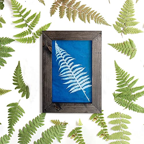 30 Pcs Cyanotype Paper Sun Print Paper Kit High Sensitivity Nature Drawing Printing Sunprint Sun/Solar Activated A5 Paper for Flower Press DIY Arts mwellewm