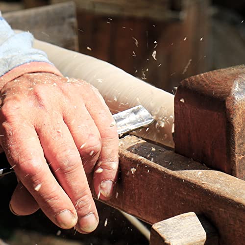 8 Piece Wood Chisel Woodworking Lathe Hand Tool Set by Science Purchase Science Purchase