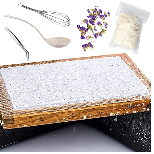Cayway 11 Pack Paper Making Screen Kit Include 5 PCS Wooden Paper Making Mold Frame, Dried Flowers, Replace Mesh Cloth, Spoon Stirrer and Tweezers Cayway