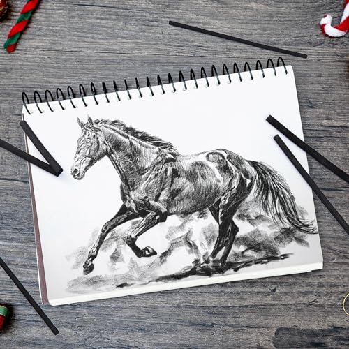 PANDAFLY Willow Charcoal Sticks, Soft, Black Artist Vine Charcoal for Artists, Beginners, Students, Great for Sketching, Drawing, Shading and Fine PANDAFLY