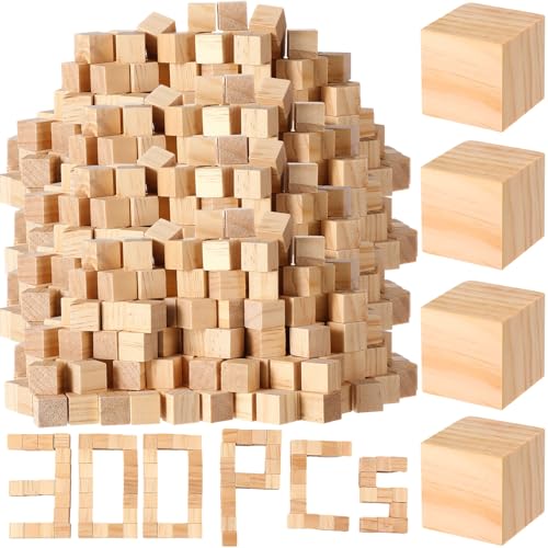 Barydat 300 Pcs Wooden Cube Unfinished Wooden Craft Cube Natural Blank Wooden Block for Craft Square Wood Block Cube Craft Wood Craft Supply Wood Barydat