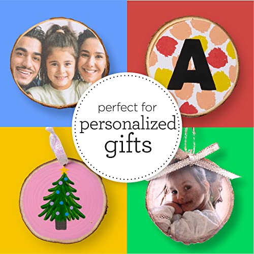 Apple Barrel PROMOABWR22 DIY Craft Featuring 12 Paints, 2 Mod Podge Acrylic Sealers, 4 Wood Rounds and 10 Brushes, 28 Piece Set, Multi Apple Barrel