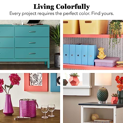 Krylon KSCB028 Short Cuts Brush-On Paint, 1-Ounce, Flat Black Krylon