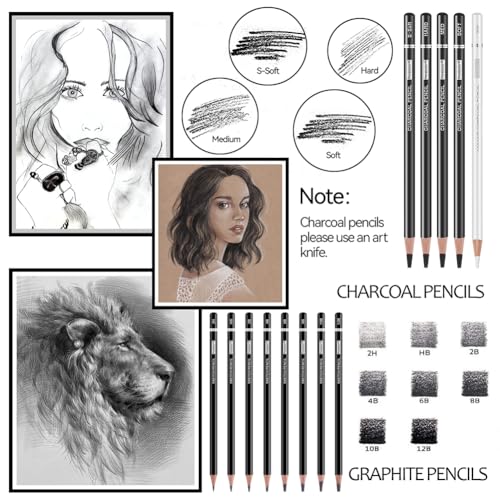PANDAFLY Drawing Sketching Pencil Set, 22 Piece Pro Art Pencil Kit - Graphite Pencils (12B-2H), Black and White Charcoal Pencils, Charcoal Sticks, PANDAFLY