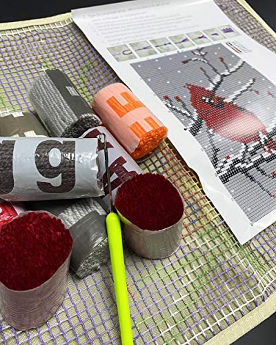 Latch Hook Rug Kit for Adults Red Cardinal Crocheting Carpet Rug Yarn Sofa Cushion Mat Tapestry DIY Carpet Arts Crafts,20.5X15 Inch PakyKai