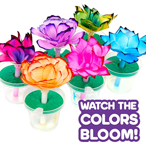 Crayola Paper Flower Science Kit, Color Changing Flowers, Gift for Kids Ages 7, 8, 9, 10 Crayola
