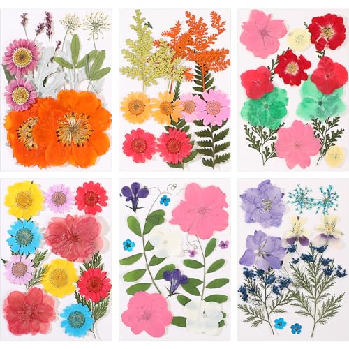 eBoot 72 Pcs Dried Pressed Flowers for Resin Molds Real Pressed Flowers Dry  Leaves Bulk Natural Herbs Kit for Scrapbooking DIY Art Crafts Jewelry