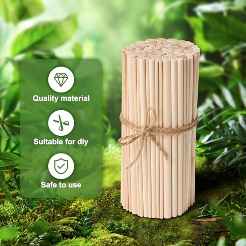 HAPY SHOP 100 Pieces Wooden Dowel Rods Assorted Sizes Wooden Dowels 1/8, 3/16, 1/4, 5/16, 3/8 x 6 Inch Wood Craft Dowel Rods for Crafts and DIY HAPY SHOP