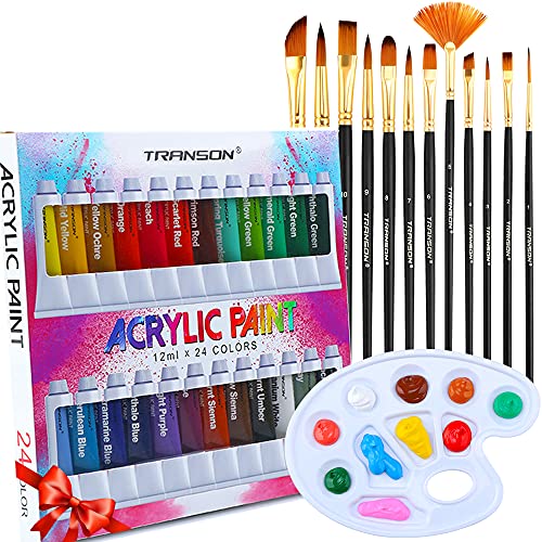 TRANSON Acrylic Paint Set 24-color with 12 Paint Brushes and Palette Non-toxic for Canvas Craft Rock Art Painting TRANSON