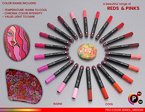 TOOLI-ART 22 Acrylic Paint Markers Paint Pens Pro Color Series Set 3mm Medium Tip for Rock Painting, Glass, Mugs, Wood, Metal, Glass Paint, Canvas, TOOLI-ART