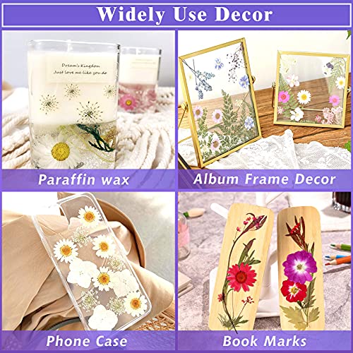 120 PCS Dried Flowers for Resin Molds, Natural Pressed Flowers Leaves Herbs kit with Tweezers for DIY Art Crafts, Candle,Jewelry Making, Scrapbook Cruzix