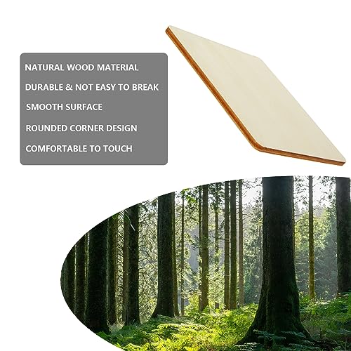 140 PCS Unfinished Wood Pieces, 2 Inch, 3inch, 4 Inch Blank Natural Wood Square, 2.5 MM Thin Wood Squares for Crafts, DIY Painting, Wood Burning, SHUESS