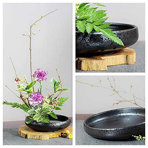 Japanese Ikebana Vase Kit, Flower Shallow Container Ceramics Ikebana Vase with 1.57inch Flower Frog and Floral Frog Floristry Kenzan Needle Eggone