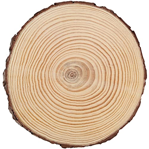 JEUIHAU 6 PCS 7-8 Inches Natural Unfinished Wood Slices, Round Wooden Tree Bark Discs, Wooden Circles for DIY Crafts, Christmas, Rustic Wedding JEUIHAU