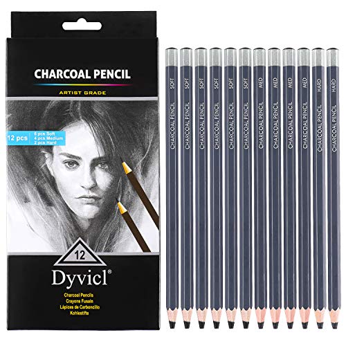 Dyvicl Professional Charcoal Pencils Drawing Set - 12 Pieces Soft, Medium & Hard Charcoal Pencils for Drawing, Sketching, Shading, Artist Pencils for Dyvicl