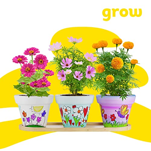 Cast, Paint & Plant Kit for Kids & Teens - Birthday Gift Ideas for Girls & Boys Age 8-14 Year Old Tween Girl Christmas - STEM Teenage Crafts Gifts Dan&Darci