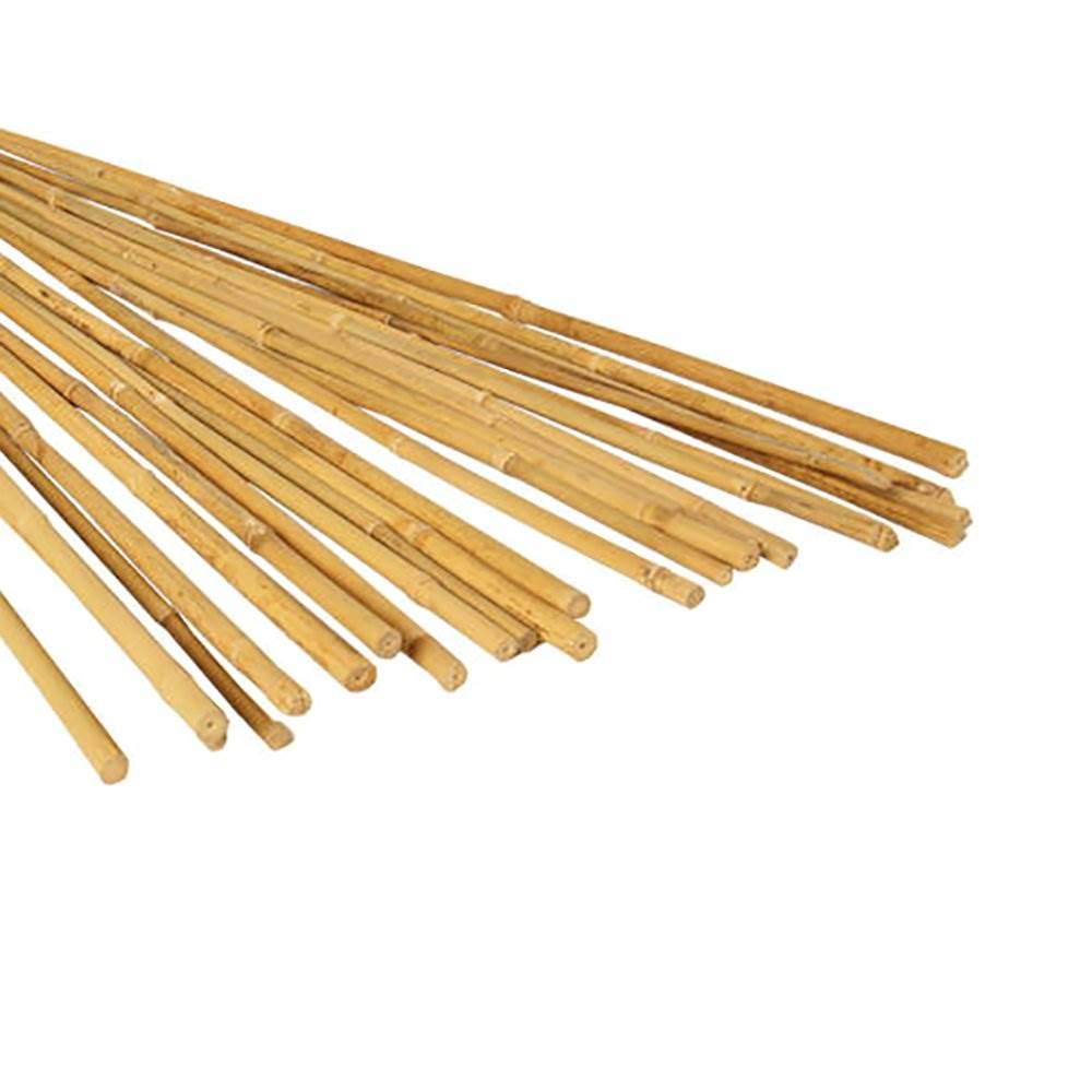 Hydrofarm HGBB4 4' Natural, pack of 25 Bamboo Stake, Tan Hydrofarm