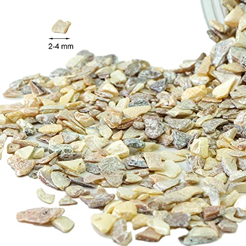 HappyFiller 1.4 Pound Broken Pieces Crushed Shells Chips Vase Filler Resin Arts,Succulents,Plants Top Dressing Soil Cover,Hotricultural Pebbles Grow HappyFiller