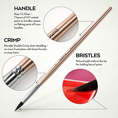 Nicpro Watercolor Paint Set, 48 Water Colors Kit with 8 Squirrel Brushes, Palette, Watercolor Pen, 25 Art Pad Paper, 2 Art Sponges, Non-toxic Nicpro