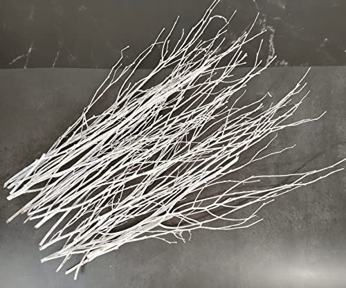 Decorative Birch Branches Decoration, 23 Inch Birch Stems for Wedding Decor,Dried Twigs for Christmas Decor (White) DongArts