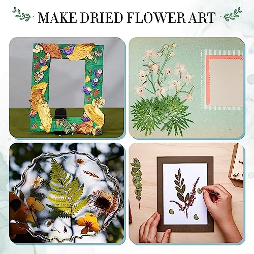 Aboofx Large Professional Flower Press Kit, 6 Layers 10.8 x 6.9 inch DIY Flower Pressing Kit for Adults to Making Dried Flower & Press Flowers Arts Aboofx