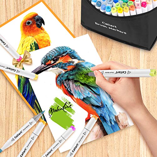 Caliart Alcohol Brush Markers, 51 Colors Dual Tip Artist Brush & Chisel Tip Sketch Art Alcohol Markers for Kids Adult Halloween Books Painting Caliart