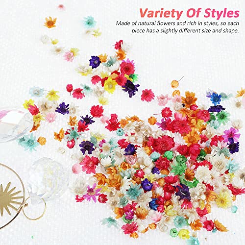 710pcs DIY Dried Flowers Scattered Aromatherapy Candle Epoxy Resin Pendant TEAMWILL