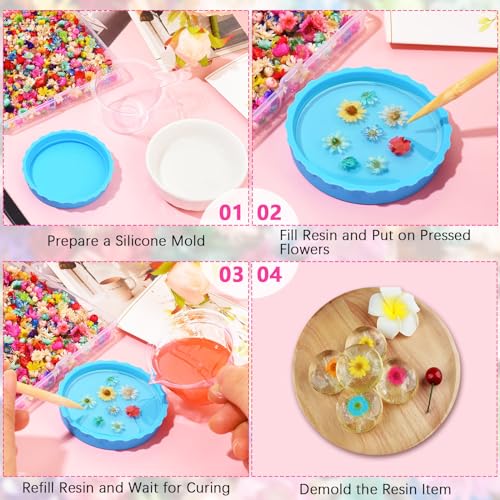 600 PCS Dried Flowers for Resin Crafts, Small Dried Flowers for Nails, Real Natural Tiny Dried Pressed Flowers for Jewelry Earrings Epoxy Molds, LGFMGWH