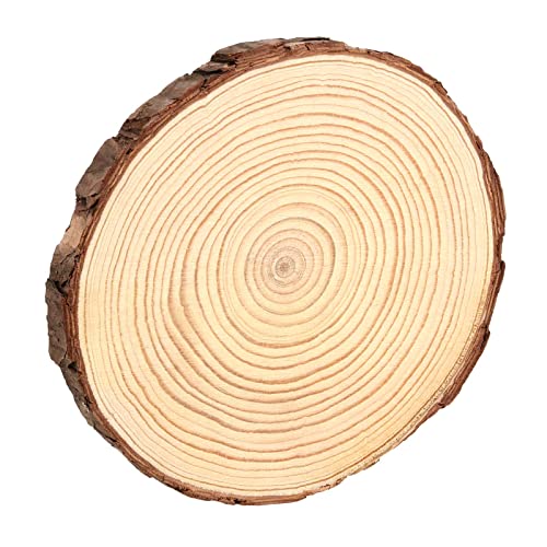 TAICHEUT 15 Pack 6-7 Inch Unfinished Natural Wood Slices for Crafts, Unfinished Wood Slices with Natural Bark Log Circles for Coasters, Ornaments, TAICHEUT