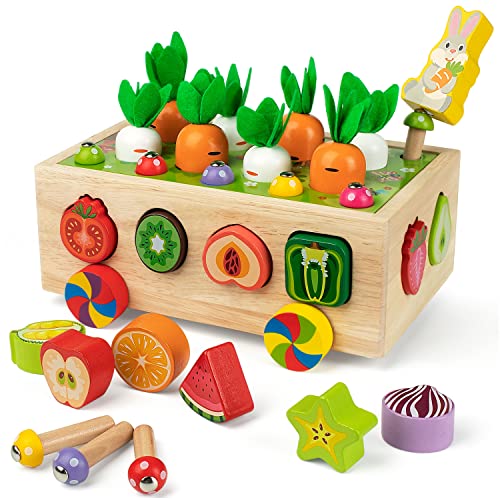 Coogam Montessori Fine Motor Toys for Baby Toddler, Wooden Shape Sorter Carrot Harvest Game, Preschool Learning Educational Gift Toy for 3 4 5 Year Coogam