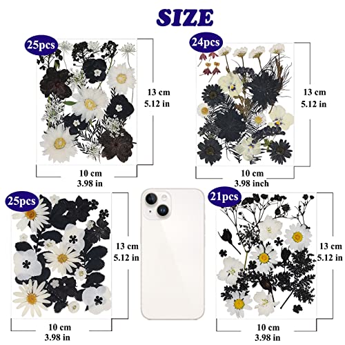 LUCISKY 94 Pcs Black Pressed Dried Flowers for Resin Molds, Real Natural Flowers Leave for DIY Crafts, Jewelry, Candle, Soap Making Gifts LUCISKY