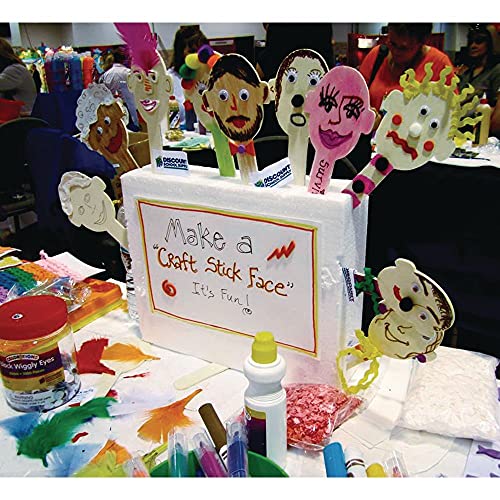 Craft Stick Faces - Set of 20 Colorations