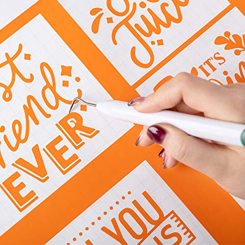 Craft Weeding Tools-Vinyl Weeder Basic Tool for Lettering (Hook Weeder) BERYA