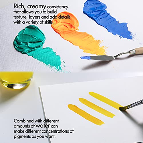 ARTIFY Acrylic Paint, Set Of 24 Color (1.29 oz, 38ml) with a storage box, Rich Pigments, Non Fading, Non Toxic Paints for Artist, Hobby Painters & ARTIFY art supplies