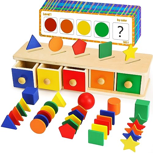 Montessori Toys Wooden Color & Shape Sorter Toys for Toddlers 1-3 Matching Box Sorting Blocks Manipulatives Preschool Learning Activities Educational Peacurh