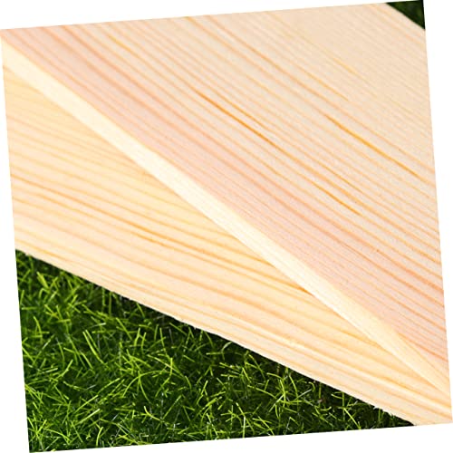 NOLITOY 10pcs Plank Board Wood Boards for Crafts Unfinished Wood Plaques Craft Wood Rectangular Blocks Carving Basswood Photo Backdrop Board NOLITOY