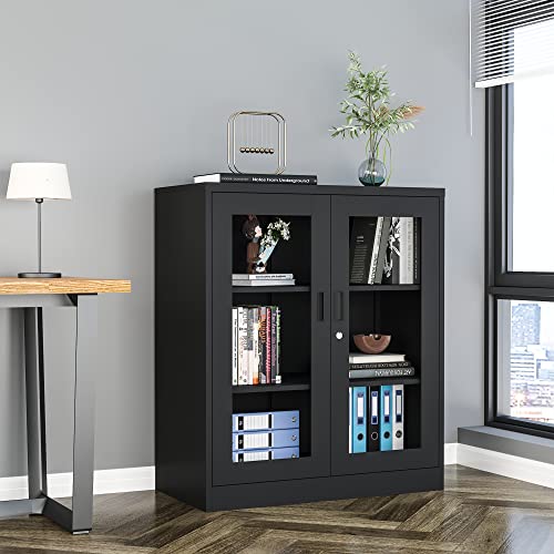 AFAIF Metal Storage Cabinet, Glass Cabinet Sideboard, Bookcase with Glass Doors, Curio Cabinet with 2 Adjustable Shelves, Lockable Metal Display AFAIF