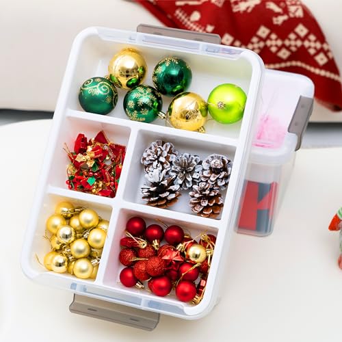 Citylife 17 QT Plastic Storage Box with Removable Tray Craft Organizers and Storage Clear Storage Container for Organizing Lego, Bead, Tool, Sewing, ITYLIFE CITYLIFE