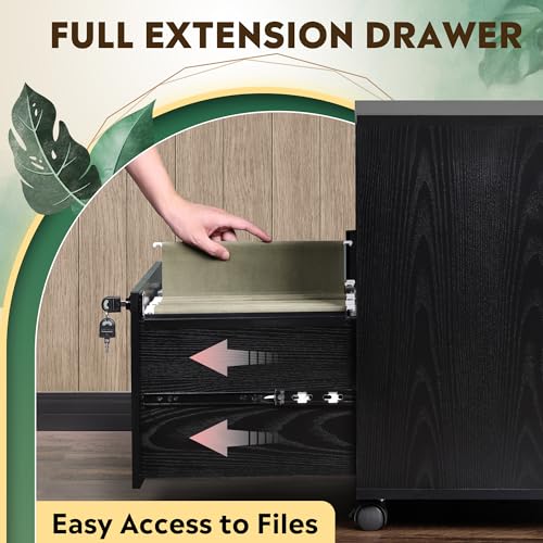 DEVAISE Office File Cabinet with Lock, 1-Drawer Wood Lateral Filing Cabinet on Wheels, Printer Stand with Open Storage Shelves for Home Office, Black DEVAISE