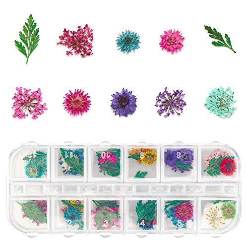4 Boxes Dried Flowers for Resin, Gartful 48 Styles Natural 3D Applique Flowers DIY Craft Supplies, Resin Epoxy Casting Fillers for Silicone Molds, Gartful