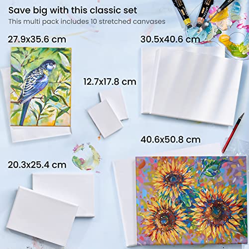 Arteza Stretched Canvas, Multipack of 10, 5 x 7, 8 x 10, 11 x 14, 12 x 16, 16 x 20 Inches – 2 of Each, 100% Cotton, 8 oz Gesso-Primed, Art Supplies ARTEZA
