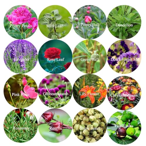 16 Bags Dried Flowers Herbs Kit for-Candle Soap Making,Perfect for Tea, Baking,Sachets & Fresh Fragrance,Lemon,Lavender,Pink RoseJasmine,Rose Oameusa
