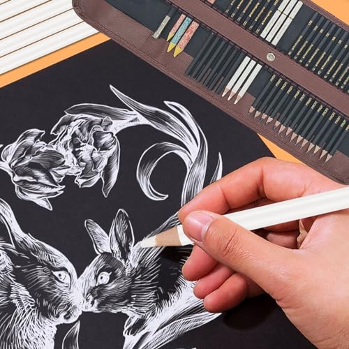 Heshengping 31 Drawing Sketching Pencils Kit, Portable Artist Supples Travel Case Set has Graphite, Charcoal, white color pencil, Blending Stump, Heshengping